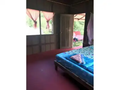 Rasta House - 1