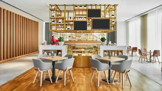 Hilton Garden Inn Dubai, Mall Avenue - 16