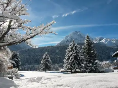 Typically Swiss Altana - 83
