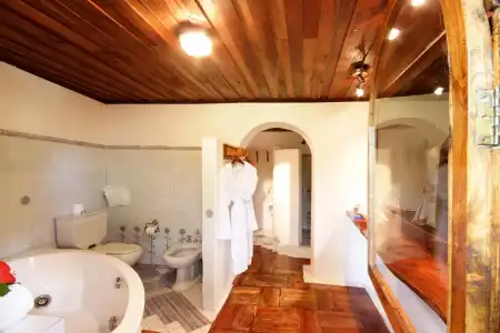 Chauve Souris Relais - 6