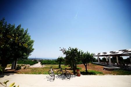 Agriturismo alle Riserve Cavagrande - 37