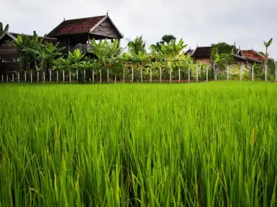 Dontrei Villa Angkor - 35