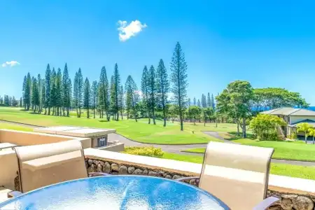 Come to Maui- Beautiful 2BD/3BA OceanView Kapalua Ridge Villa - 10