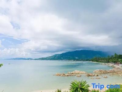 Lamai Bayview Boutique Resort - 65