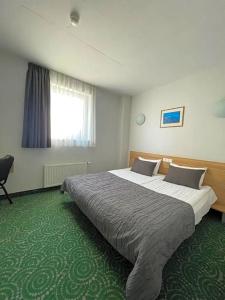 Green Vilnius - 40