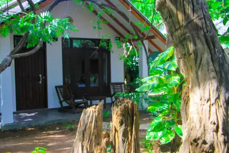 Palmyra Nature Resort Sigiriya - 5