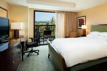 Hilton Waikoloa Village - 310