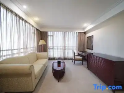 Wuhan Hongguang - 91