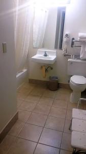 Alex and Suites - 31