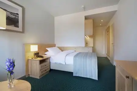 Maritim TitiseeTitisee-Neustadt - 50