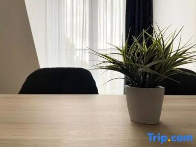 Holi City Apart Berlin - 92