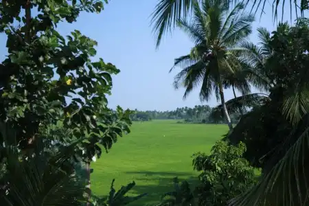 Nilketha Yala Tissamaharama - 38