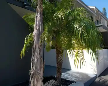 Orange Tree Inn - 16