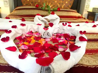 Riad Al Jana - 3
