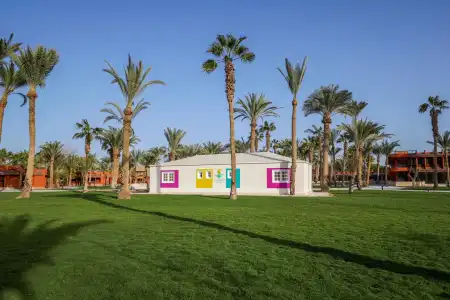Calimera Blend Paradise - 38