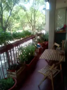 B&B Acquario - 19