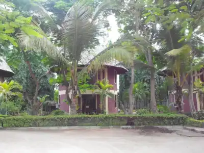 Sunrise Beach Resort - 39