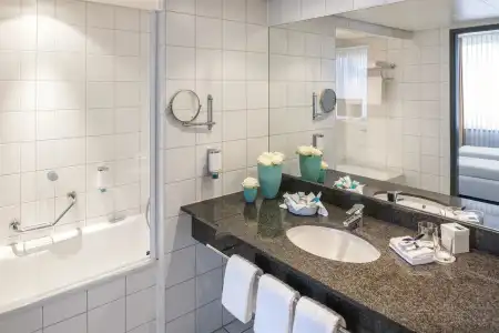 Essential by Dorint Basel City - 8