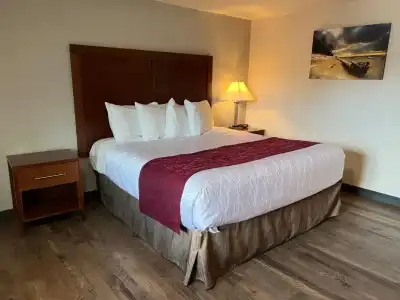 Red Carpet Inn Medford - 26