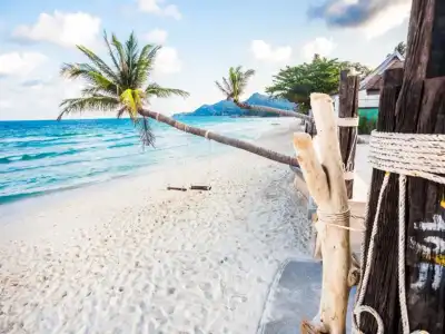 The samui beach resort - 15