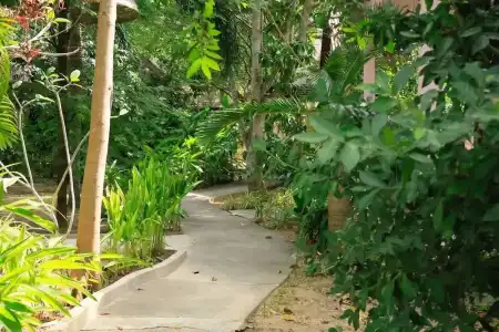 Bird of Paradise Bungalows - 25