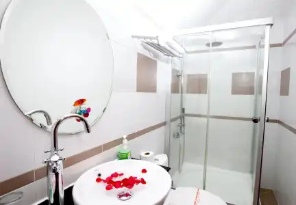 Hồng Hạc - 9