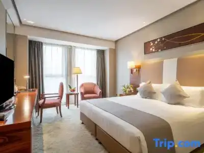 Regal Jinfeng - 28