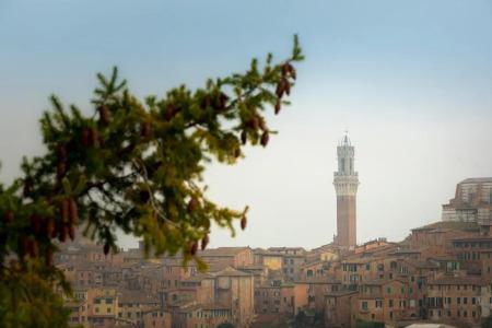 Villa Elda Boutique - 107