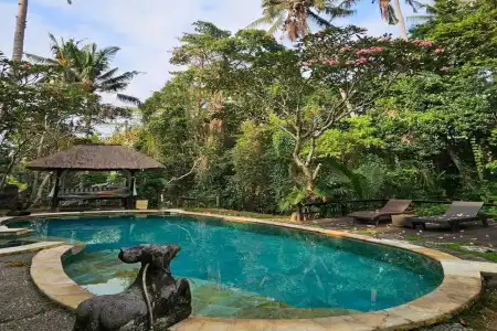 Ubud Sari Health Resort - 25
