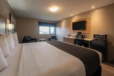 Hôtel & Suites le Dauphin Québec - 69