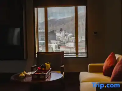 The St. Regis Lhasa Resort - 145