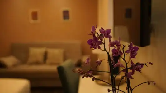Palazzo Cappuccini Art Relais - 62