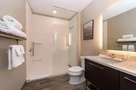 TownePlace Suites Orlando Airport - 25