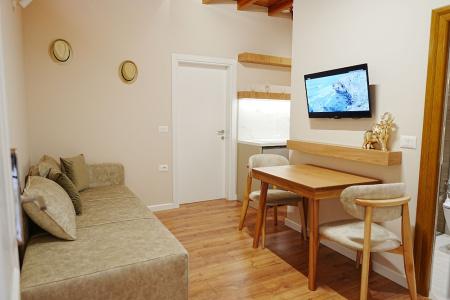 Arial Penthouse Suites - 325