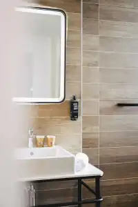 Ibis Rouen Centre Rive Droite Pasteur - 45