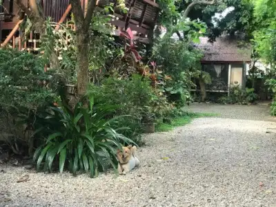 Baan Songjum Homestay - 57