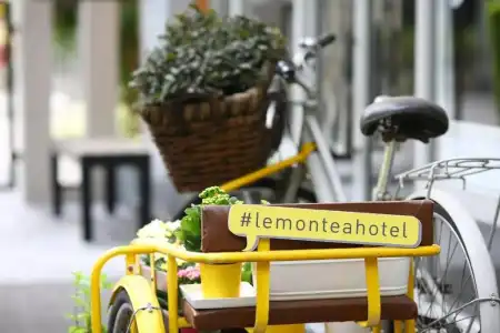 Lemontea - 28