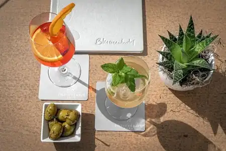 Baumgartner's Blumenhotel - 7