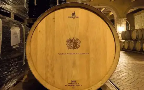 Tenuta Elisabetta - 17