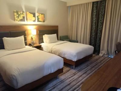 Hilton Garden Inn Erzincan - 51