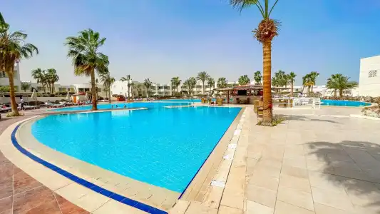 Sharm Reef - 36