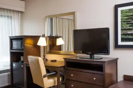 Hampton Inn Dallas-Irving-Las Colinas - 4