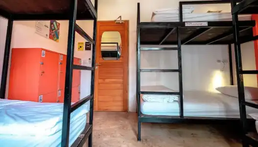 Mad Monkey Chiang Mai - Hostel - 51