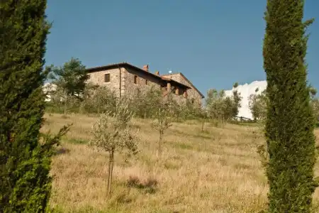 Agriturismo Podere Campaini - 82