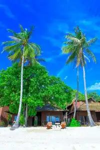 Koh Tao Beach Club - 137