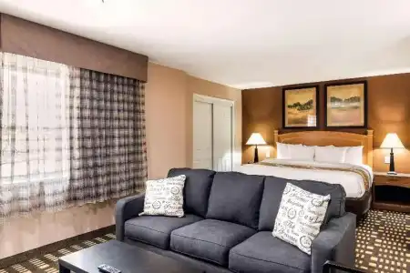 Quality Inn & Suites Plano East - Richardson - 49