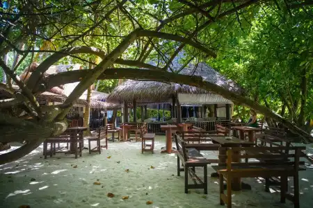 Biyadhoo Island Resort - 11