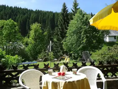 Schwarzwald-Pension Kräutle - 36