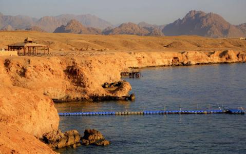 Sharm Club Beach Resort - 35