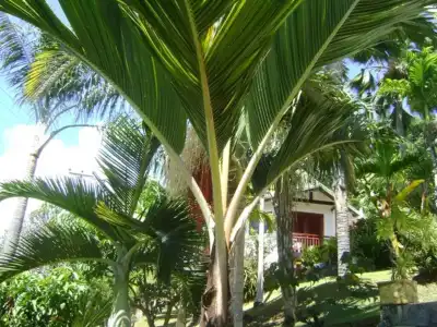 Chalets Bougainville - 87
